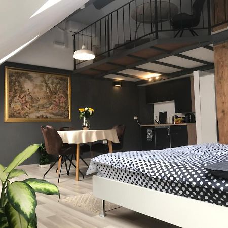 Savoya Nr2 Loft Studio Old City Center Self Check-In Workspace Тимишоара Экстерьер фото