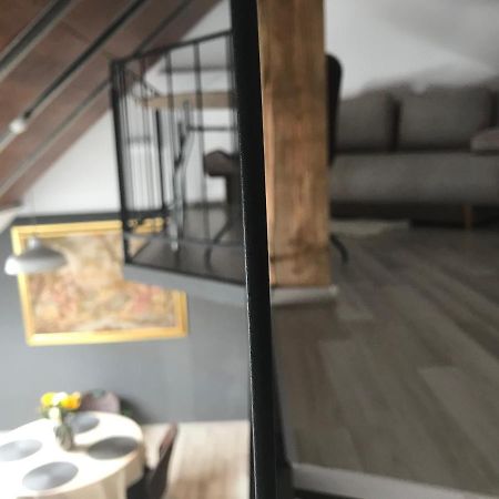 Savoya Nr2 Loft Studio Old City Center Self Check-In Workspace Тимишоара Экстерьер фото