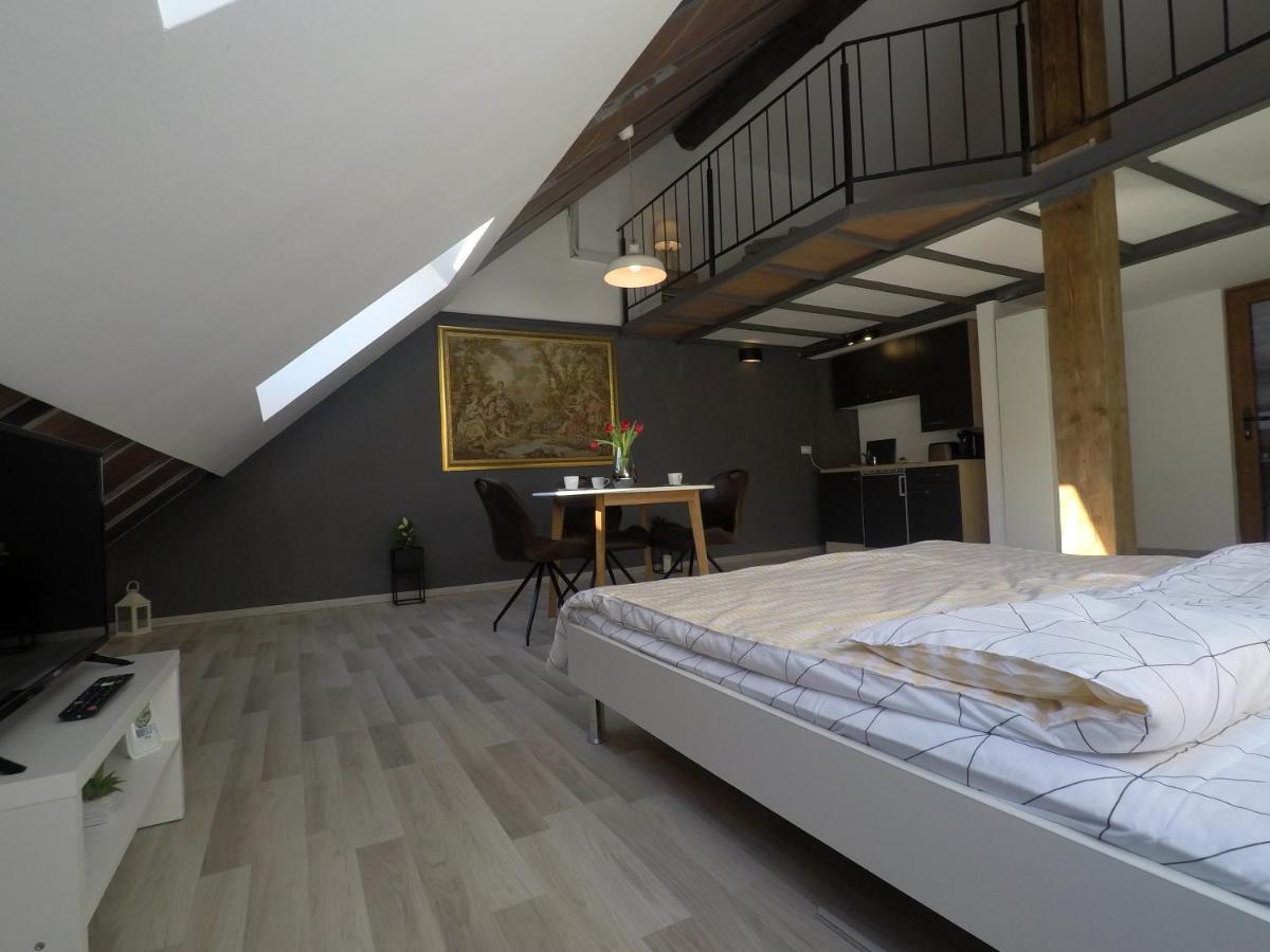 Savoya Nr2 Loft Studio Old City Center Self Check-In Workspace Тимишоара Экстерьер фото