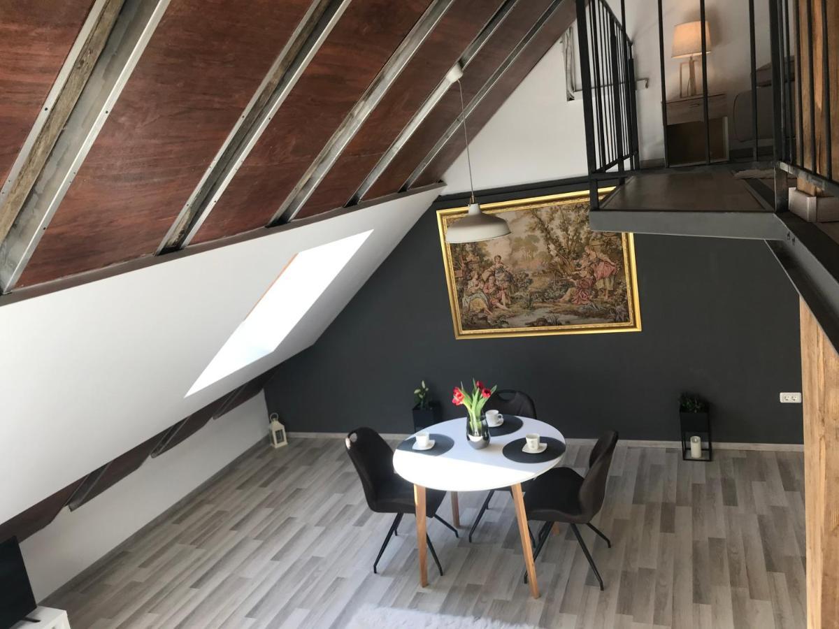 Savoya Nr2 Loft Studio Old City Center Self Check-In Workspace Тимишоара Экстерьер фото