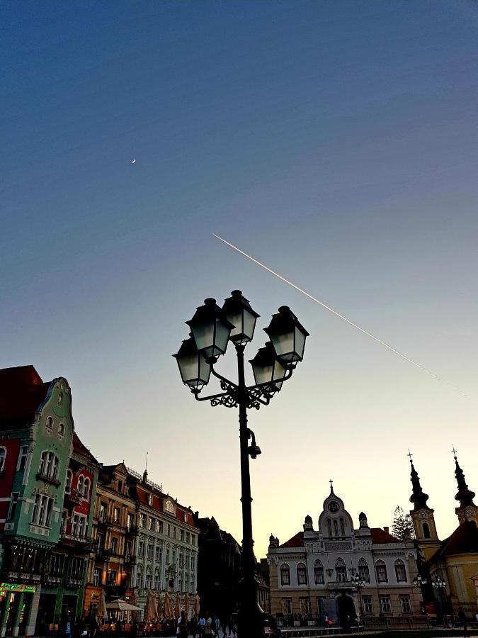 Savoya Nr2 Loft Studio Old City Center Self Check-In Workspace Тимишоара Экстерьер фото