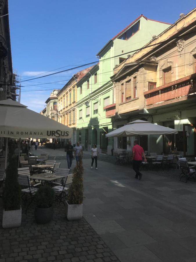 Savoya Nr2 Loft Studio Old City Center Self Check-In Workspace Тимишоара Экстерьер фото
