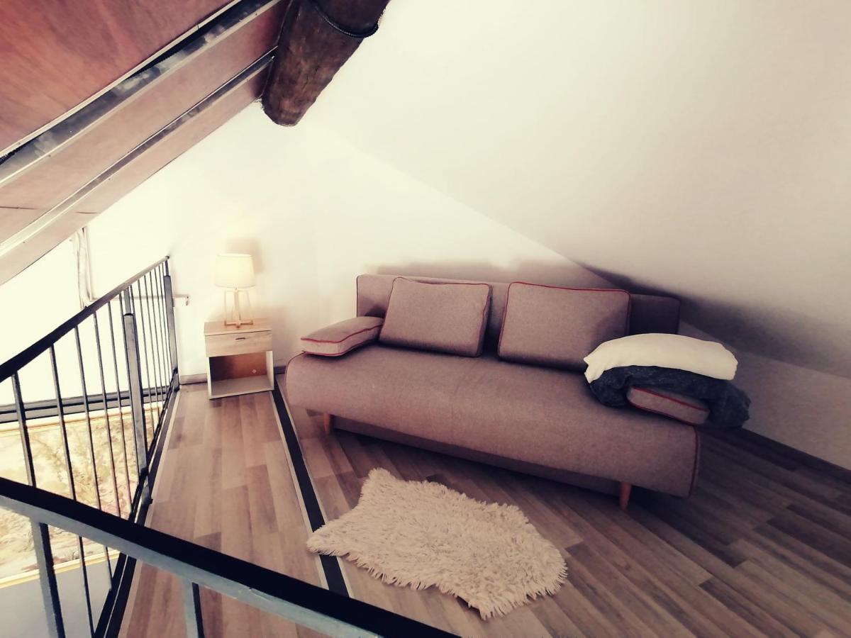 Savoya Nr2 Loft Studio Old City Center Self Check-In Workspace Тимишоара Экстерьер фото