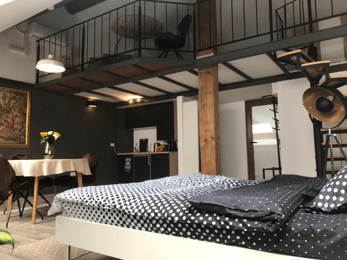 Savoya Nr2 Loft Studio Old City Center Self Check-In Workspace Тимишоара Экстерьер фото