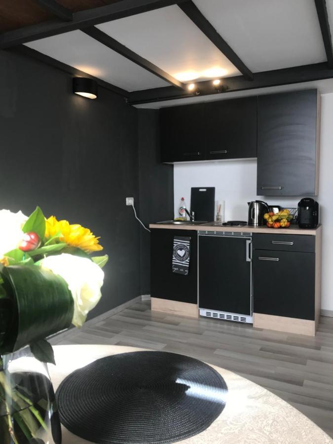 Savoya Nr2 Loft Studio Old City Center Self Check-In Workspace Тимишоара Экстерьер фото