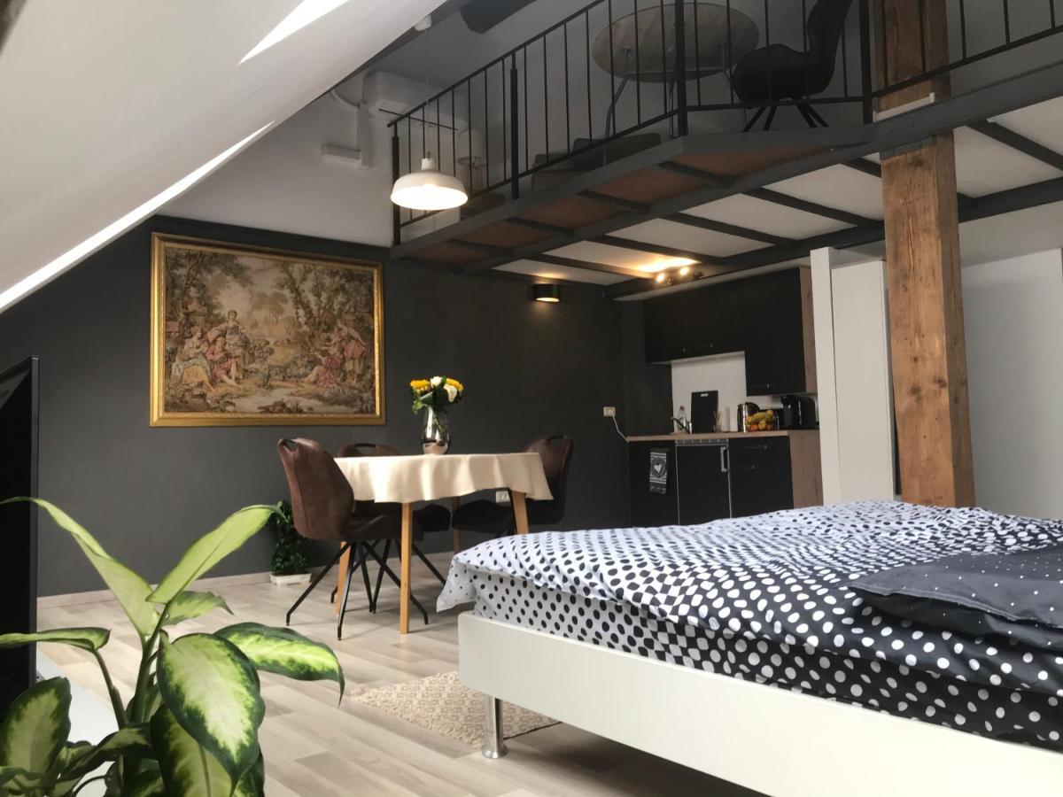 Savoya Nr2 Loft Studio Old City Center Self Check-In Workspace Тимишоара Экстерьер фото