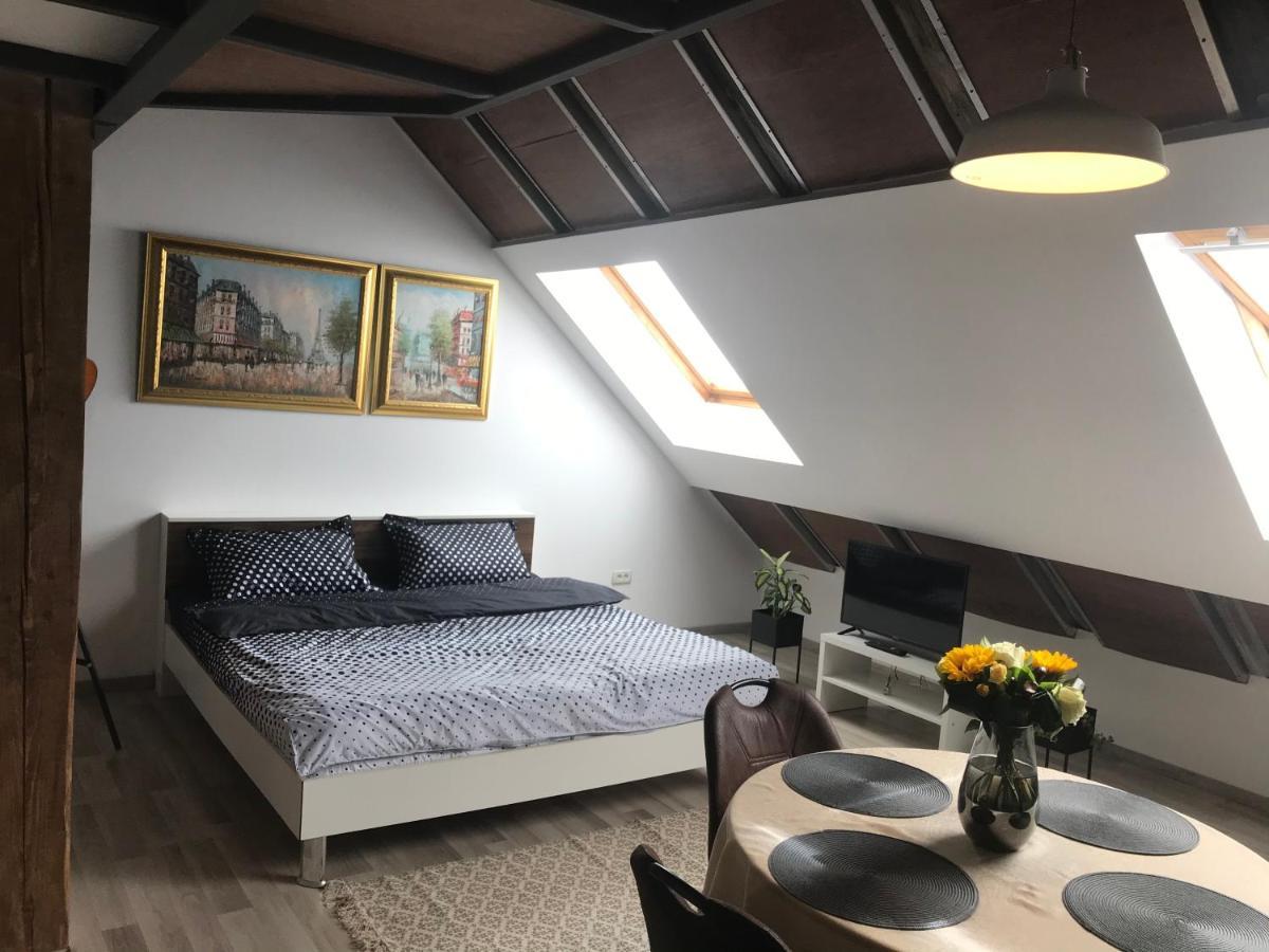 Savoya Nr2 Loft Studio Old City Center Self Check-In Workspace Тимишоара Экстерьер фото