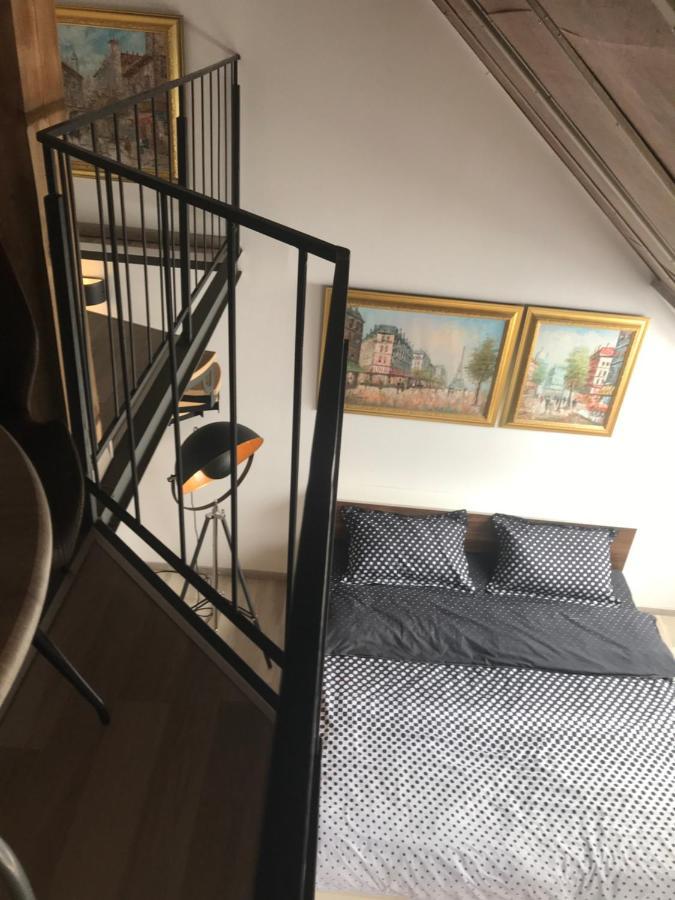 Savoya Nr2 Loft Studio Old City Center Self Check-In Workspace Тимишоара Экстерьер фото