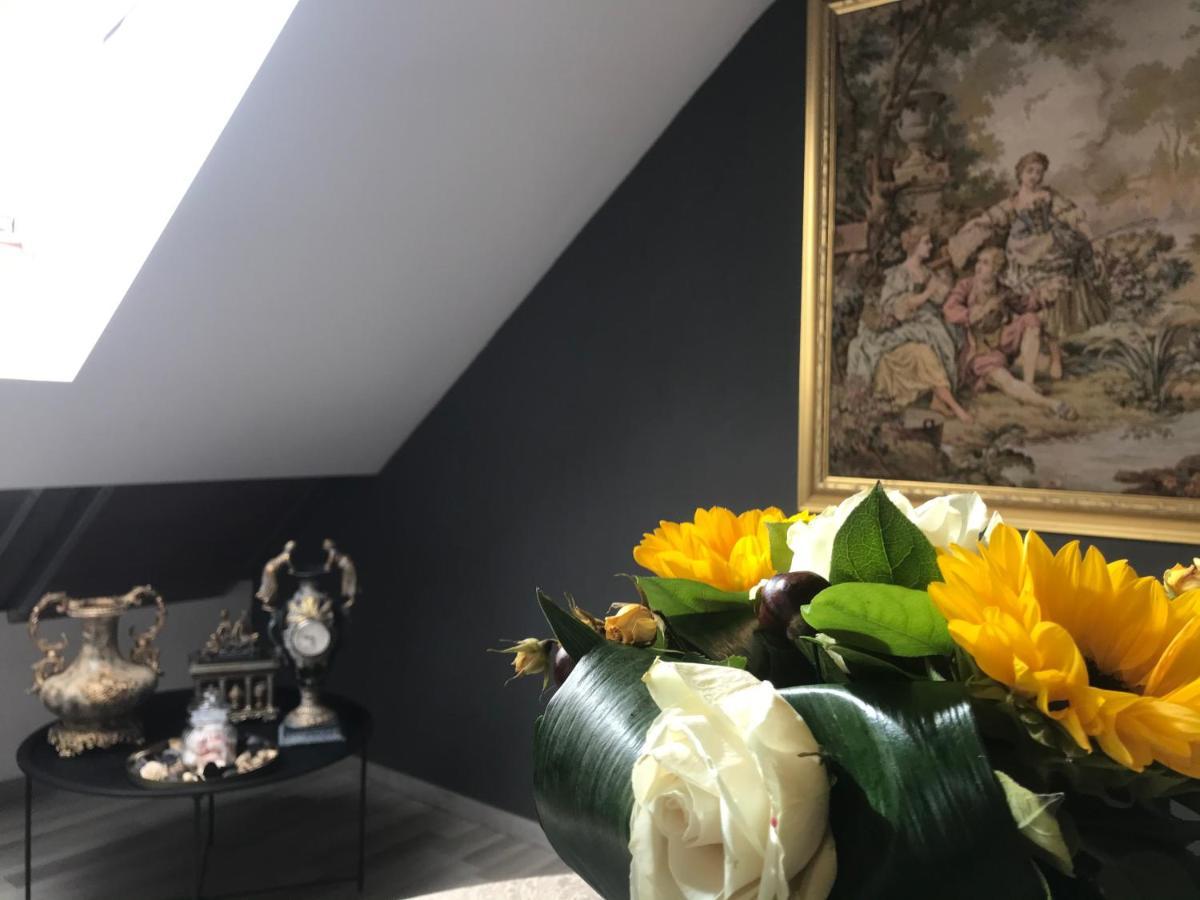 Savoya Nr2 Loft Studio Old City Center Self Check-In Workspace Тимишоара Экстерьер фото