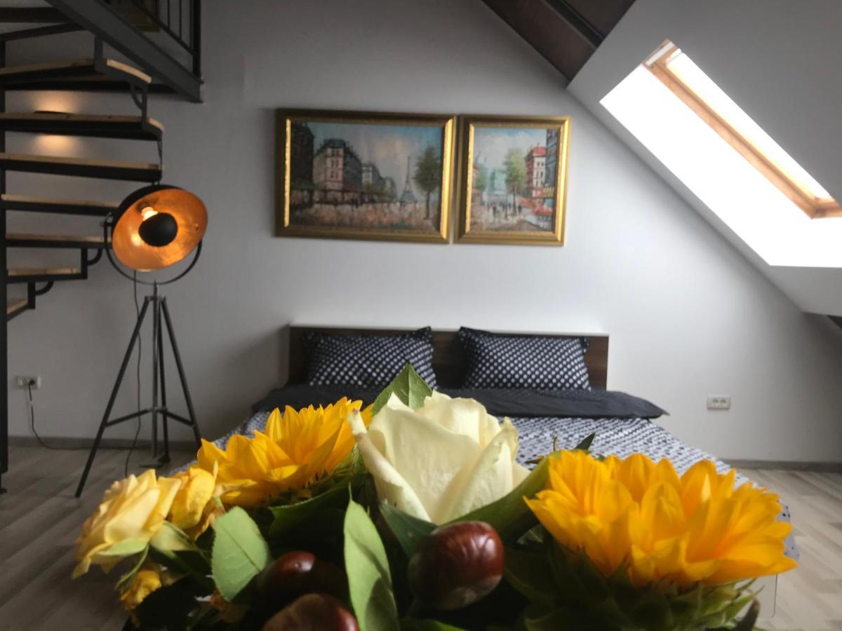 Savoya Nr2 Loft Studio Old City Center Self Check-In Workspace Тимишоара Экстерьер фото